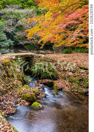 溪流風景：``隼鳥坂天滿宮，以其在水面上倒影而聞名''（阿蘇市） 102628599