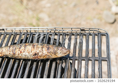 [Salted sardine grilled at the auto campsite] 102629194