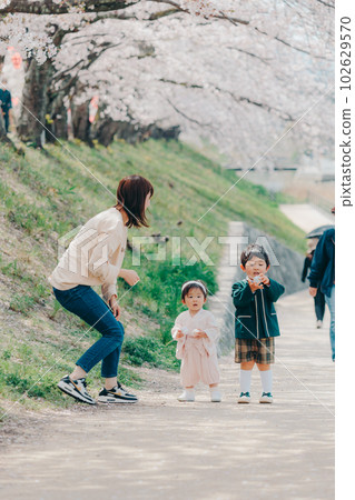 Photo of two brothers walking along a row of cherry blossom trees Photo of two brothers walking along a row of cherry blossom trees 102629570