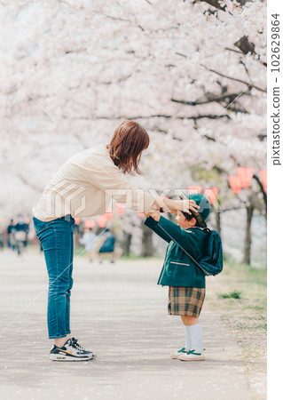 一位母親在一排櫻花樹上給幼兒園的孩子戴上帽子 一位母親在一排櫻花樹上給幼兒園的孩子戴上帽子 102629864