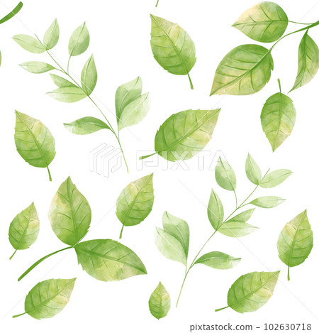 Green leaves roses pattern, watercolor clipart, hand drawing, botanical illustration 102630718
