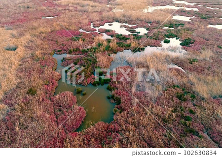 Beautiful landscape of the wetlands of the Peloponnese peninsula in Greece. 102630834