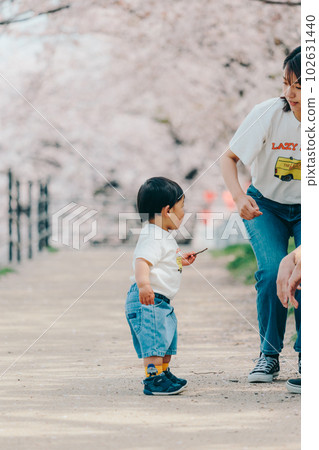 Photo of a family of three standing under a cherry tree 102631440