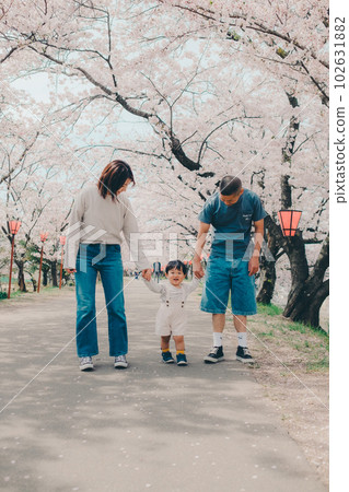 Photo of a family walking under a cherry tree Photo of a family walking under a cherry tree 102631882