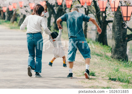 Photo of a family walking under a cherry tree 102631885