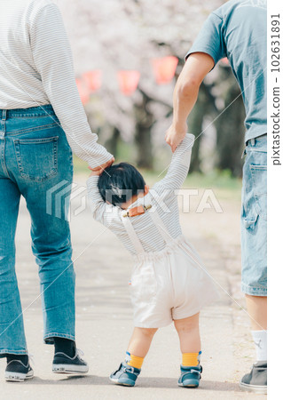 Photo of a family walking under a cherry tree 102631891
