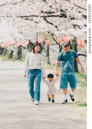 Photo of a family walking under a cherry tree 102631894