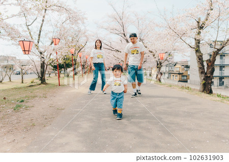 Photo of a family walking under a cherry tree 102631903