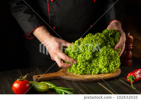 Chef prepares a diet salad or meal from Lettuce. Green leaves in the hands of the cook in the kitchen. Vegetarian cuisine. 102632010
