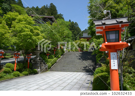 The greenery of Kurama Temple, the stone steps at the entrance to the precincts, Sakyo Ward, Kyoto City 102632433