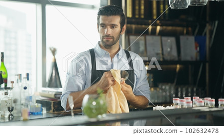 Smart bartender in black apron preparing cocktail Smart bartender in black apron preparing cocktail 102632478