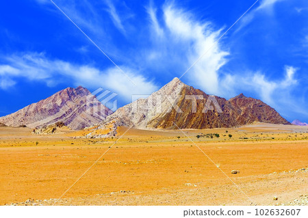 This is a beautiful landscape of the Namib Desert, a famous tourist attraction in Namibia. 102632607