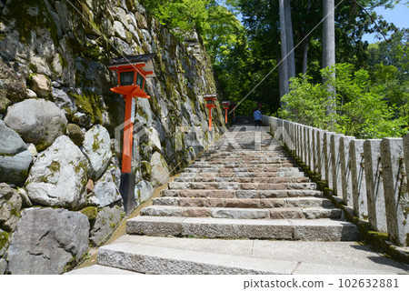 The verdant Kurama Temple stone steps leading to the approach, Sakyo Ward, Kyoto City The verdant Kurama Temple stone steps leading to the approach, Sakyo Ward, Kyoto City 102632881