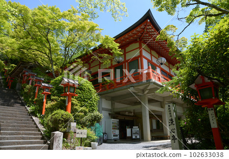 京都市左京區天本林堂和小楓樹的新綠中的鞍馬寺 102633038