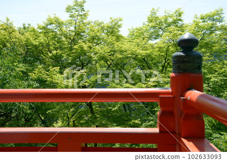 青翠的鞍馬寺天和林堂欄杆和幼楓樹，京都市左京區 102633093