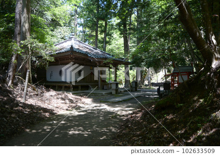 翠綠的鞍馬寺總乘穀不動堂（京都市左京區） 102633509