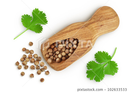 Dried coriander seeds in the wooden scoop with fresh green leaf isolated on white background. Top view. Flat lay Dried coriander seeds in the wooden scoop with fresh green leaf isolated on white background. Top view. Flat lay 102633533