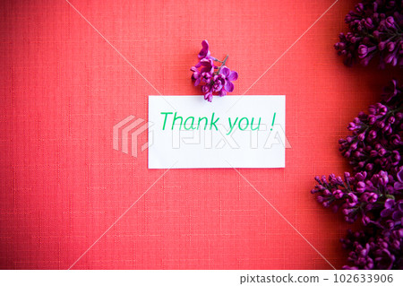The beautiful lilac on a wooden background The beautiful lilac on a wooden background 102633906