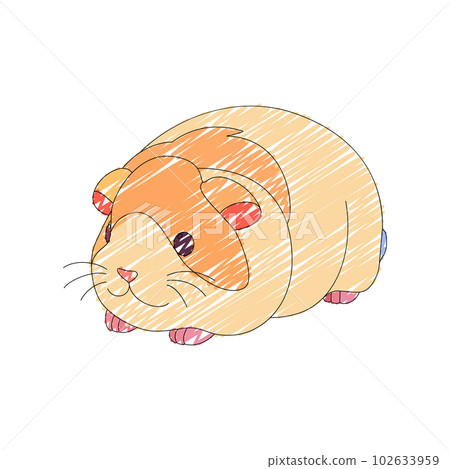 Cute little guinea pig with a kind smiling face and big eyes. Cute little guinea pig with a kind smiling face and big eyes. 102633959