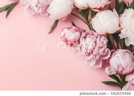 Tender peonies on pink background with copy space. Abstract natural floral frame layout with text space. Romantic feminine composition. Wedding invitation. International Women day, Mother Day concept Tender peonies on pink background with copy space. Abstract natural floral frame layout with text space. Romantic feminine composition. Wedding invitation. International Women day, Mother Day concept 102635498