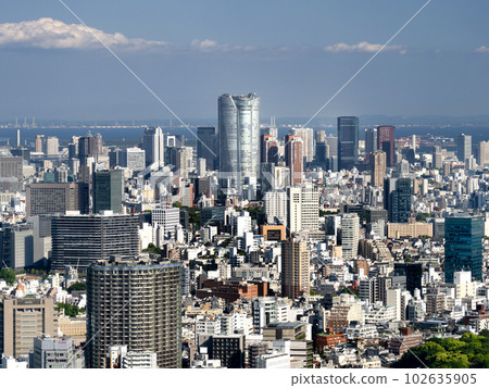 Tokyo cityscape Tokyo cityscape 102635905