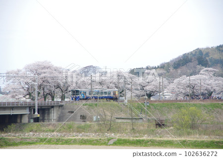 Echigo Tokimeki Railway ET122 Diesel Car Nou no Sakura 102636272