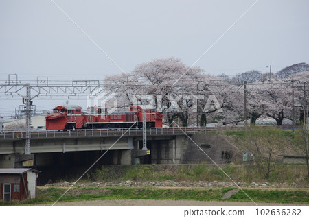 Echigo Tokimeki Railway DE15 Russell Forwarding Cherry Blossoms of Nou 102636282