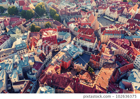 Aerial View of Tallinn Aerial View of Tallinn 102636375