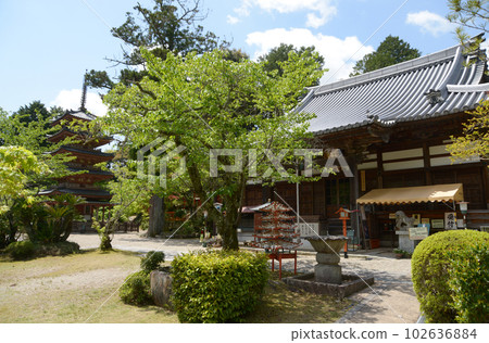Kaijusenji Temple main hall and five-storied pagoda in Kamocho, Kizugawa City, Kyoto Prefecture 102636884
