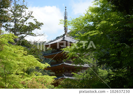 Kaijusenji Temple Five-storied Pagoda Kamocho, Kizugawa City, Kyoto Prefecture 102637230