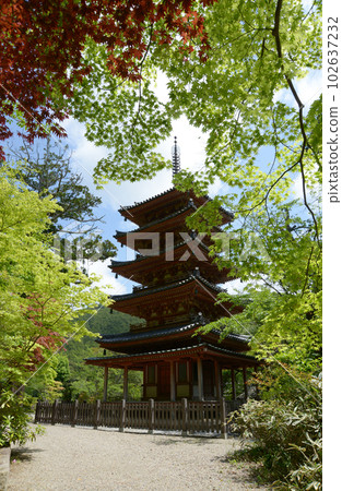 Kaijusenji Temple Five-storied Pagoda Kamocho, Kizugawa City, Kyoto Prefecture 102637232