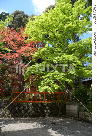 Kaijusenji Temple Inari Shrine Kamocho, Kizugawa City, Kyoto Prefecture 102637365