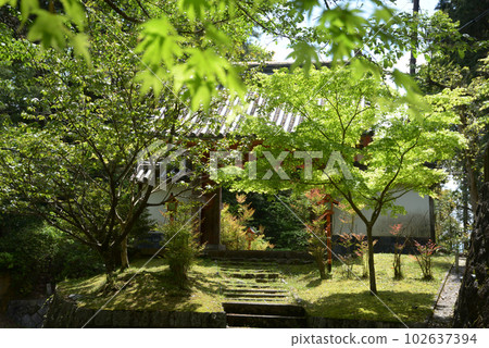 Kaijusenji Romon Gate, Kamo-cho, Kizugawa City, Kyoto Prefecture Kaijusenji Romon Gate, Kamo-cho, Kizugawa City, Kyoto Prefecture 102637394