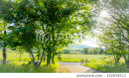 Early summer and fresh green cycling course (Hiruzen Kogen) 102638512