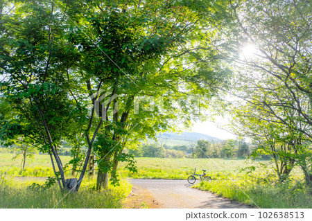 Early summer and fresh green cycling course (Hiruzen Kogen) Early summer and fresh green cycling course (Hiruzen Kogen) 102638513