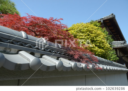 The streets of Shimosakamoto Sakamoto, Otsu City, Shiga Prefecture 102639286