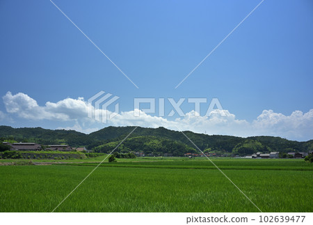 夏日的鹿島町 102639477