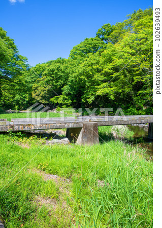 鹽澤環水橋、月川、新綠景色、武藏的小京都 102639493