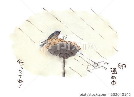 April-May landscape, watercolor illustration of nesting swallows 102640145