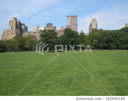 Central park in New York 102640180