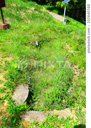 【國家指定特別史蹟】岩橋千塚古墳 102640388