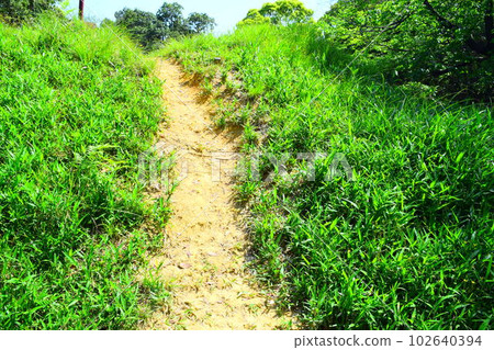 [Nationally Designated Special Historic Site] Iwahashi Senzuka Burial Mounds 102640394