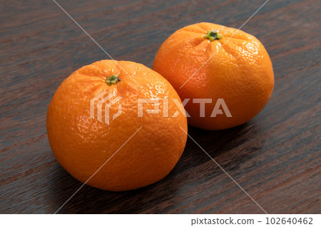 American Citrus W Marcotte American Citrus W Marcotte 102640462