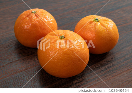 American Citrus W Marcotte 102640464