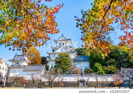 岐阜縣大垣城紅葉~天守~ 岐阜縣大垣城紅葉~天守~ 102641607