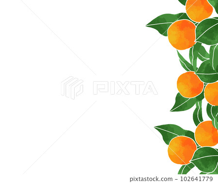 柑橘背景素材水彩風格 102641779
