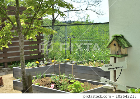 Tit nest box in the garden Tit nest box in the garden 102642215