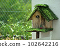 Chickadee poking out of the birdhouse 102642216