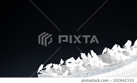 Silhouette of a large flock of crows perched on a roof Silhouette of a large flock of crows perched on a roof 102642310