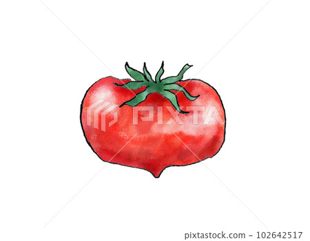 番茄手繪插畫 番茄手繪插畫 102642517
